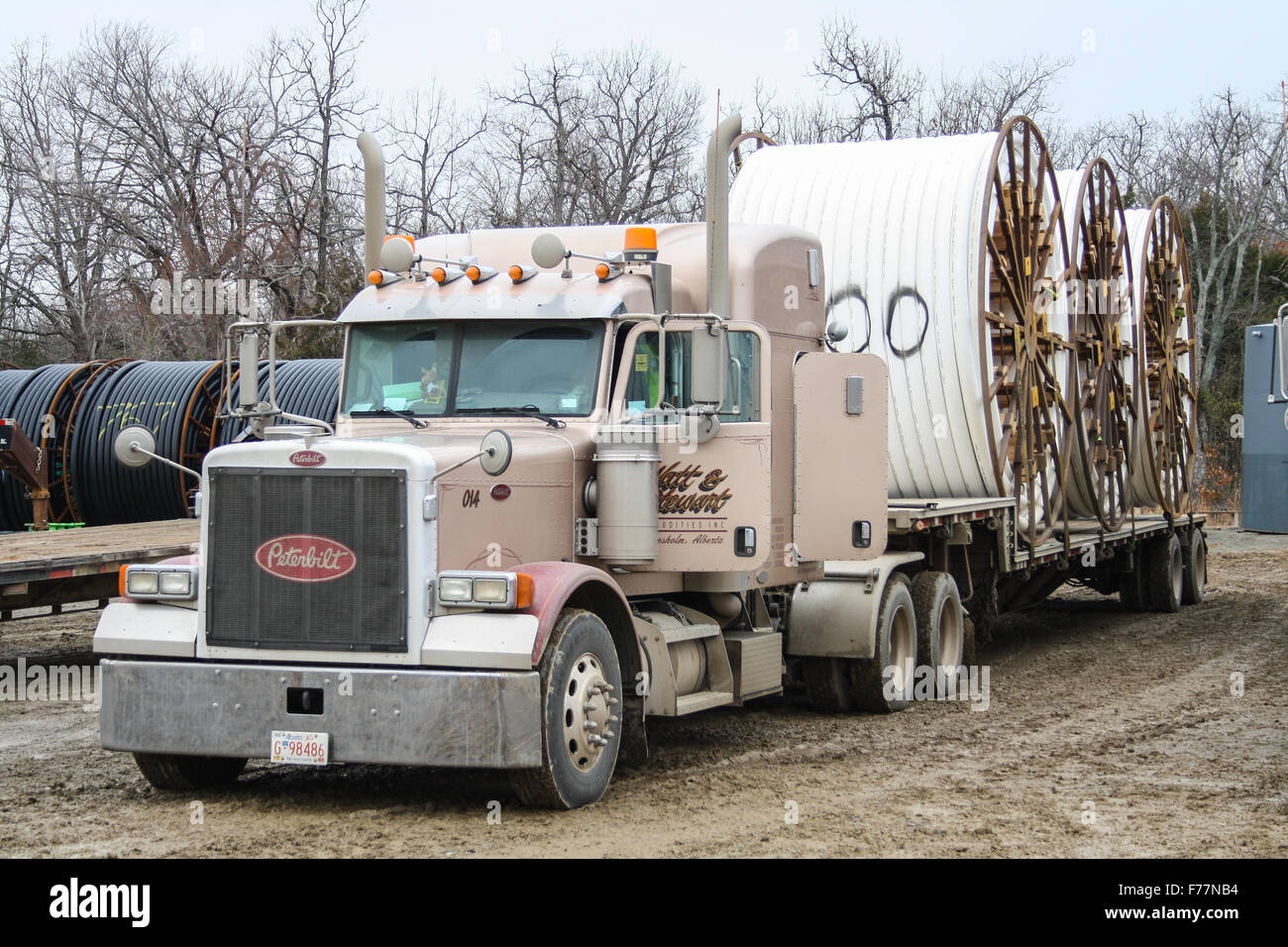 Two American Peterbilt 379 semi trucks hauling reels of HDPE plastic pipe on a flatbed trailer for the oil industry and fracking sites in the USA Stock Photo
