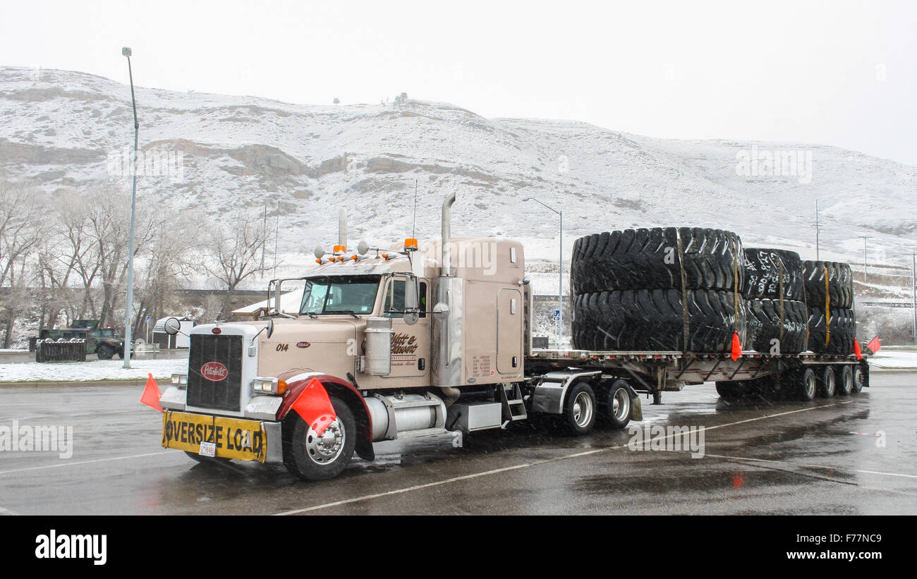 Peterbilt 379 with flatbed trailer carrying scrap oversize mining tyres, tires for recycling as cattle troughs at the scale Stock Photo