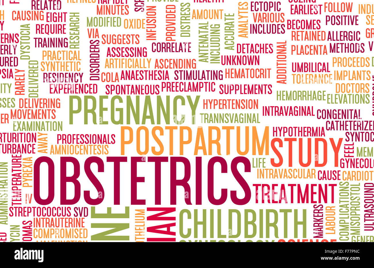 Obstetrics or Obstetrician Medical Field Specialty As Art Stock Photo