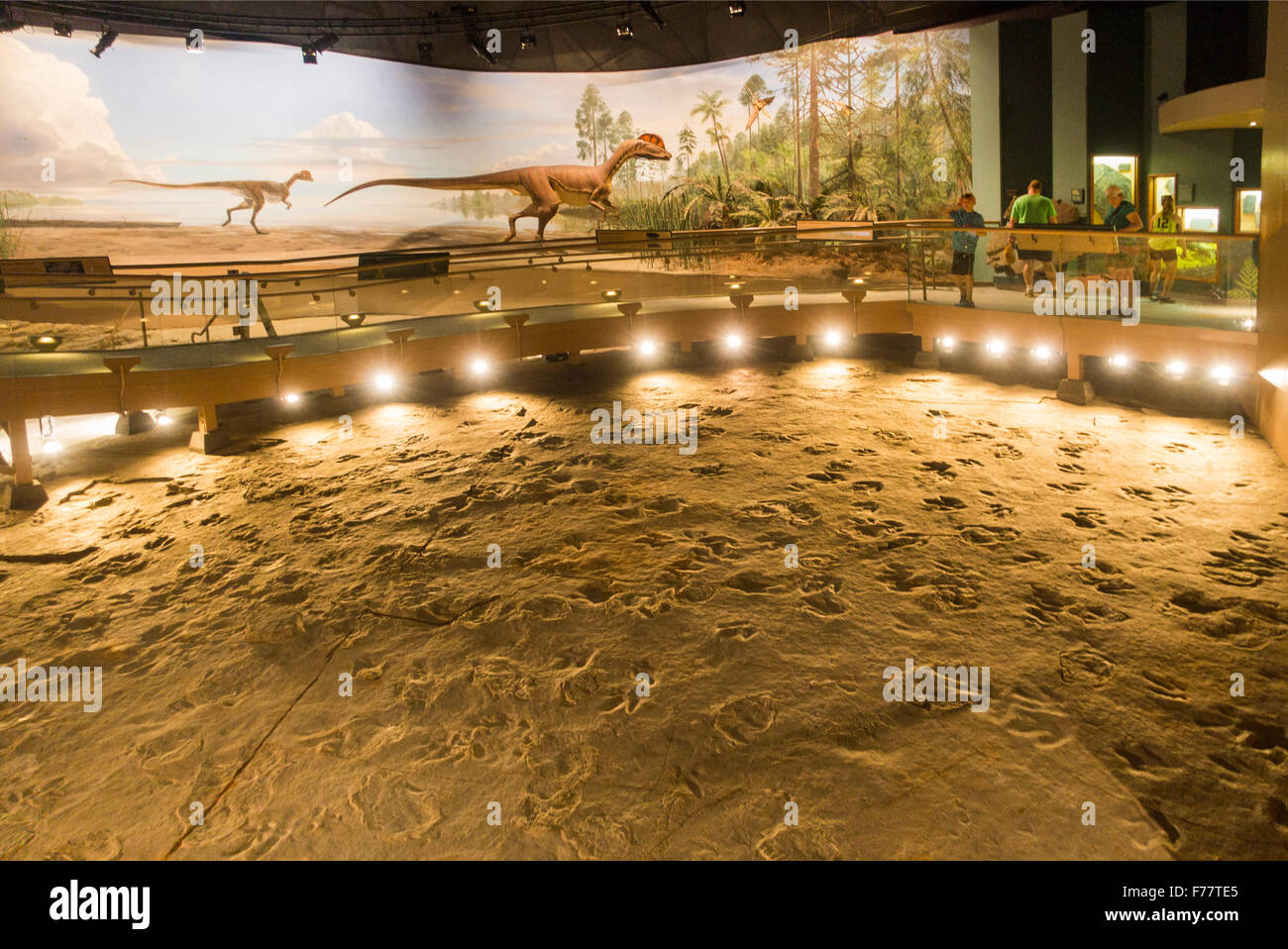 Dinosaur state park in Rocky Hill CT Stock Photo Alamy