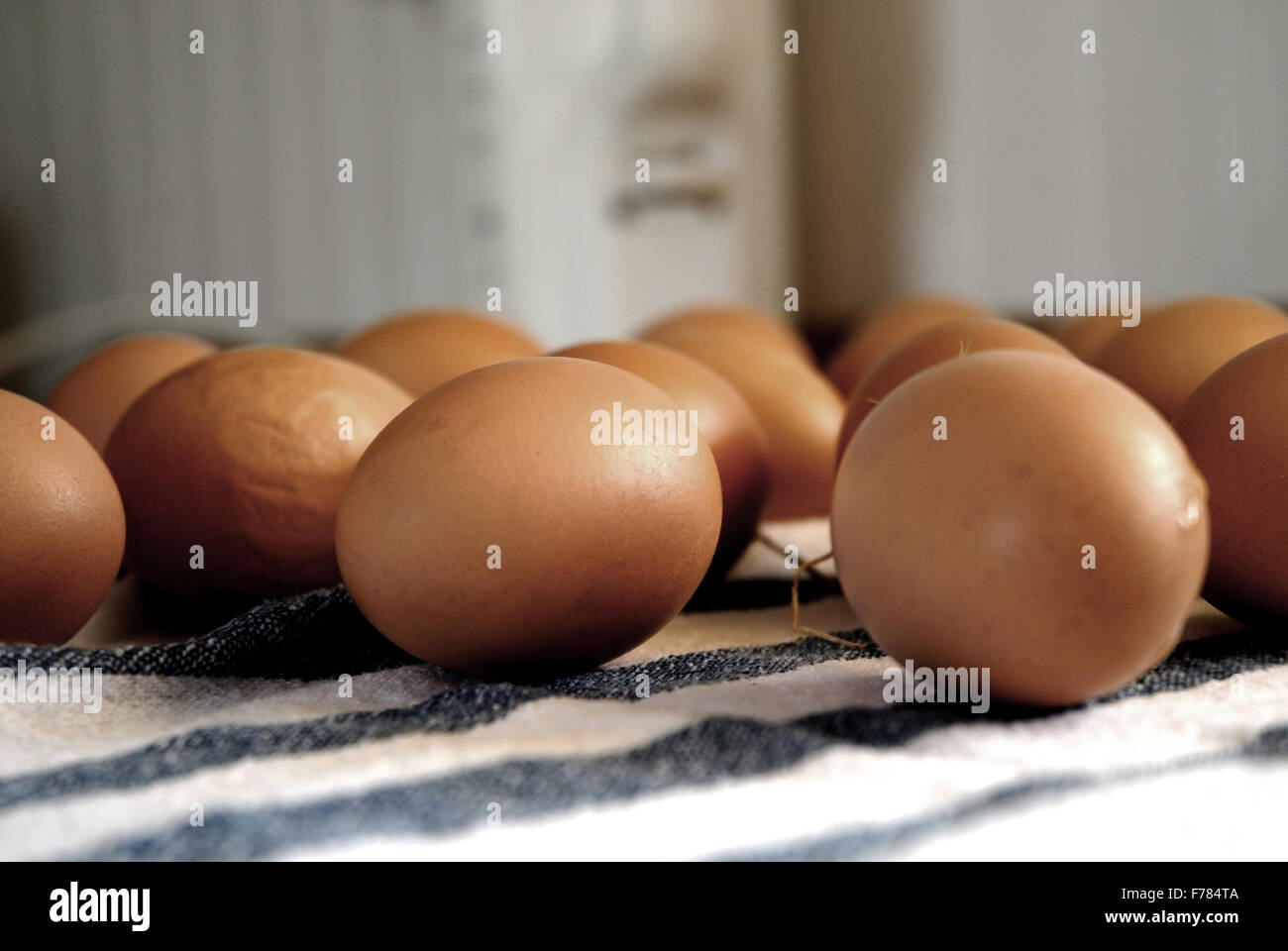 Fresh eggs on a blue and white striped tablecloth Stock Photo