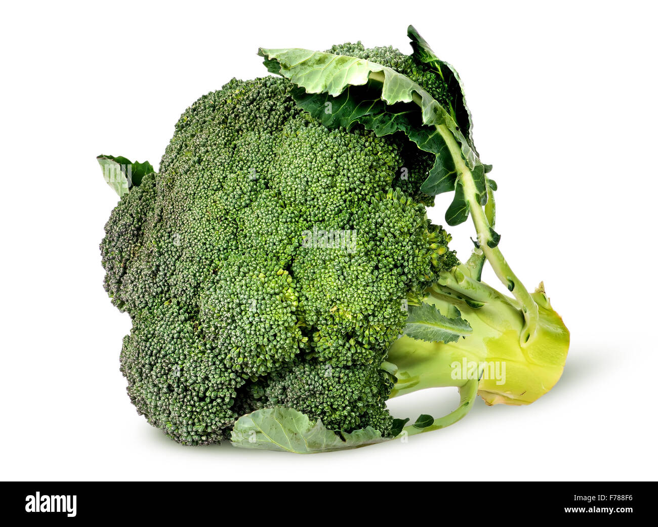 Big broccoli florets with leaves rotated isolated on white background