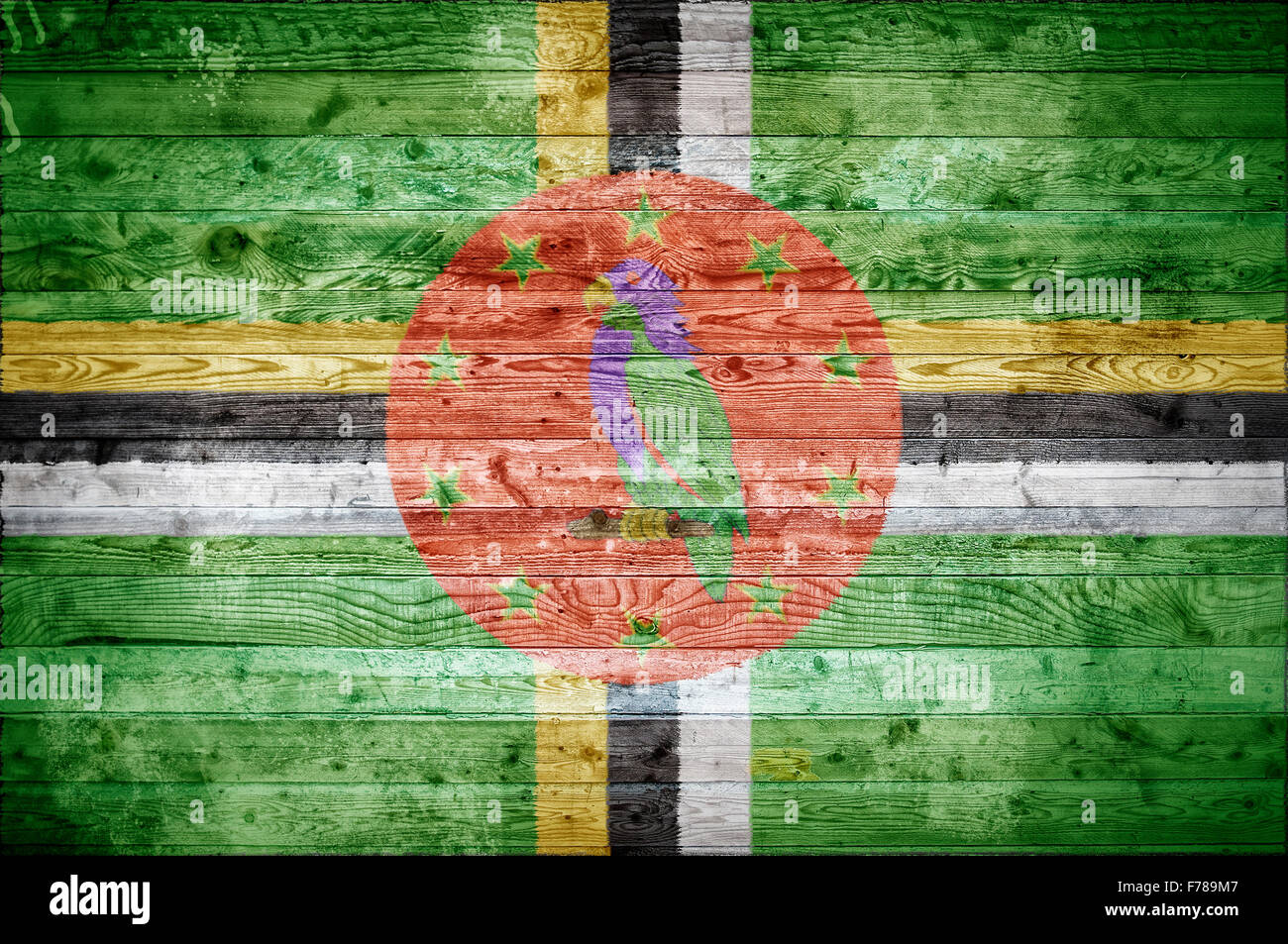 A vignetted background image of the flag of Dominica painted onto ...