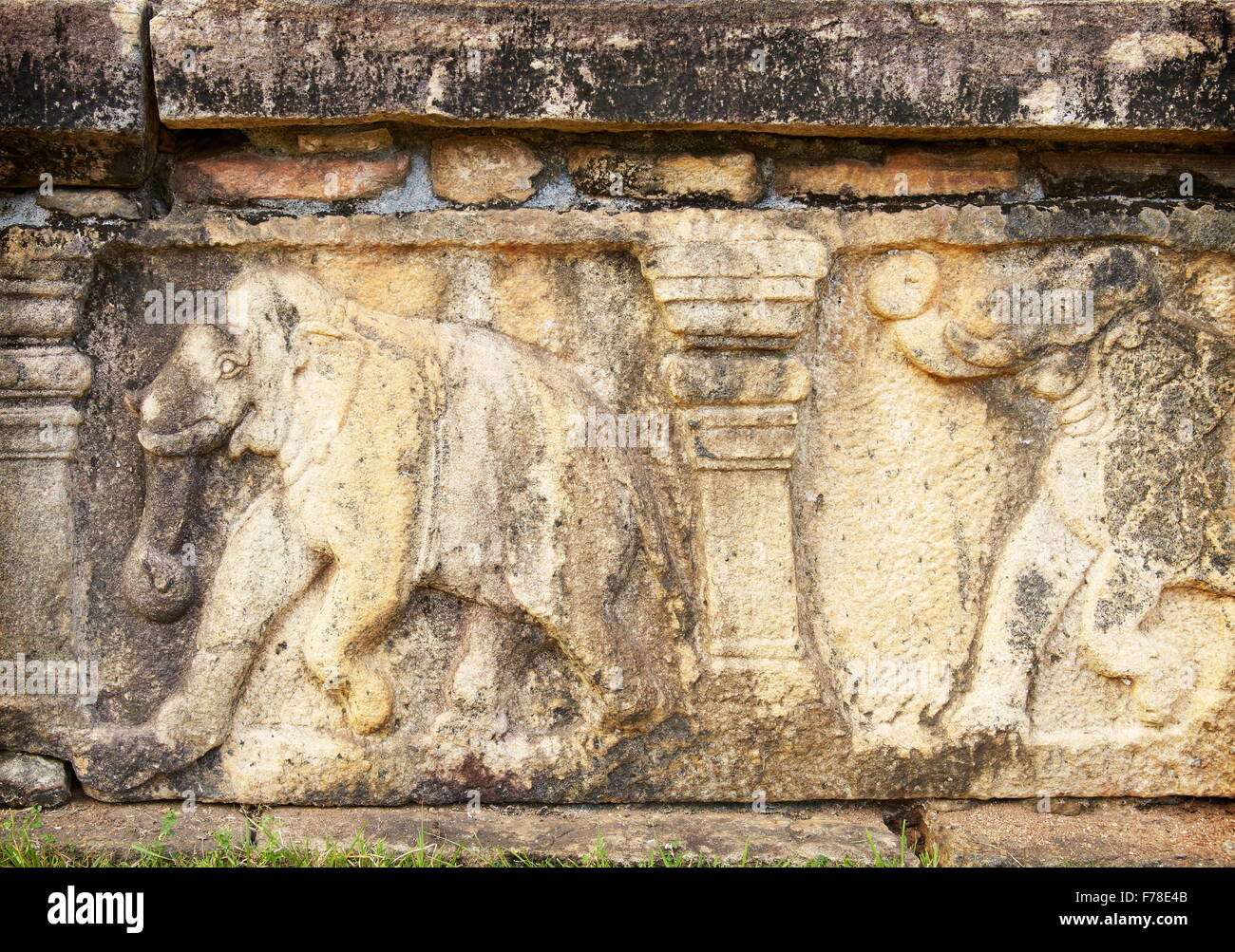 Sri Lanka - ruins of ancient royal residence, detail with elephant, Polonnaruwa, Ancient City area, UNESCO World Heritage Site Stock Photo