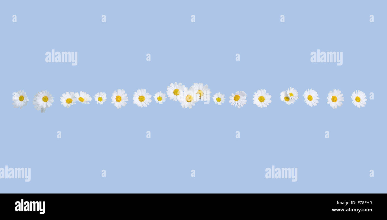 White daisy flower summer border frame on Serenity Blue background Stock Photo