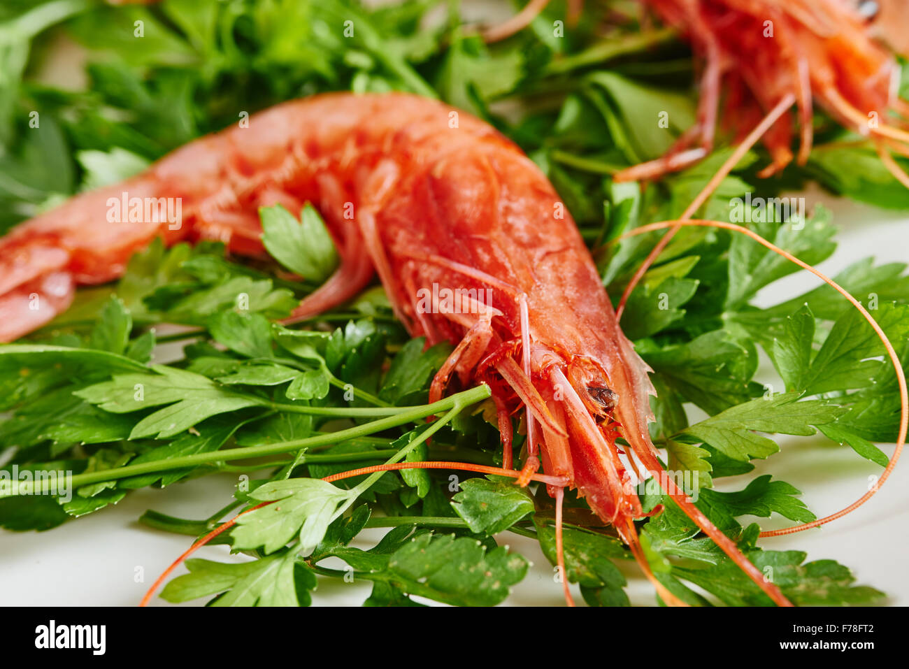 Raw prawn and parsley on white plate Stock Photo