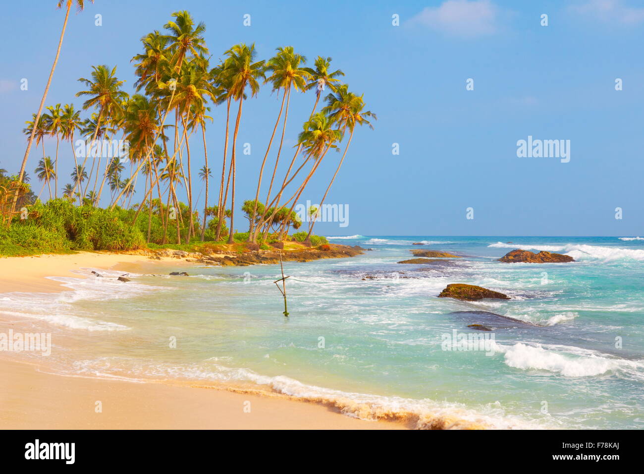 Koggala palms beach, Sri Lanka, Asia Stock Photo