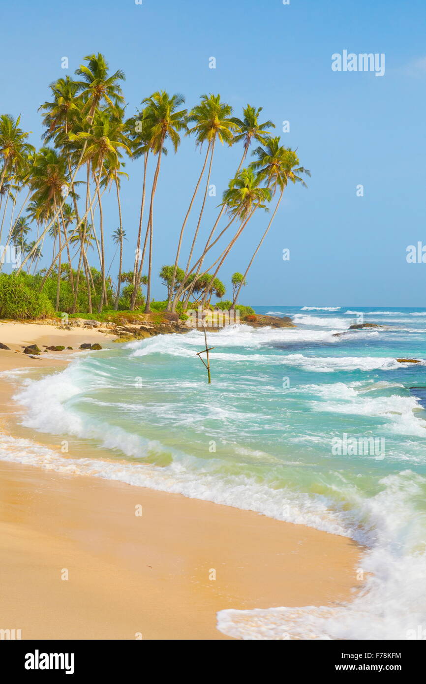 Sri Lanka - coastline in Koggala palms beach, Asia Stock Photo