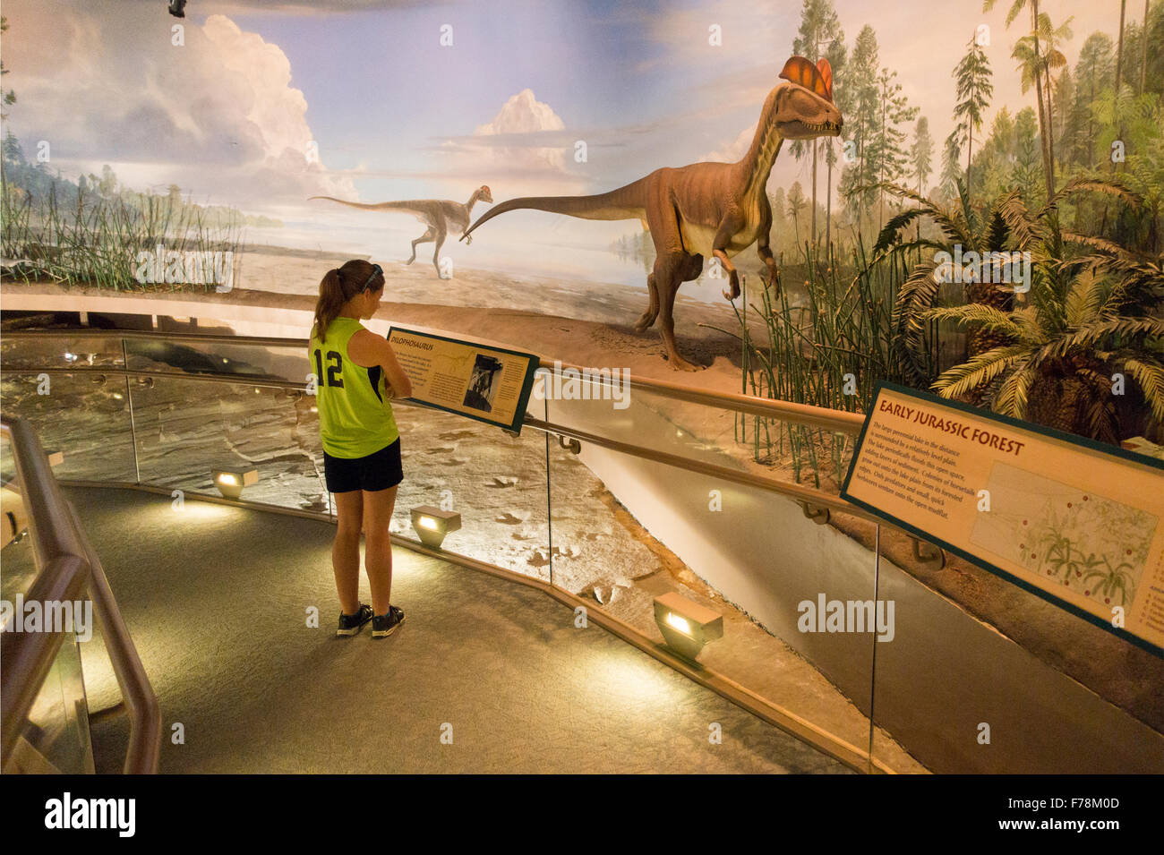 Dinosaur state park in Rocky Hill CT Stock Photo - Alamy