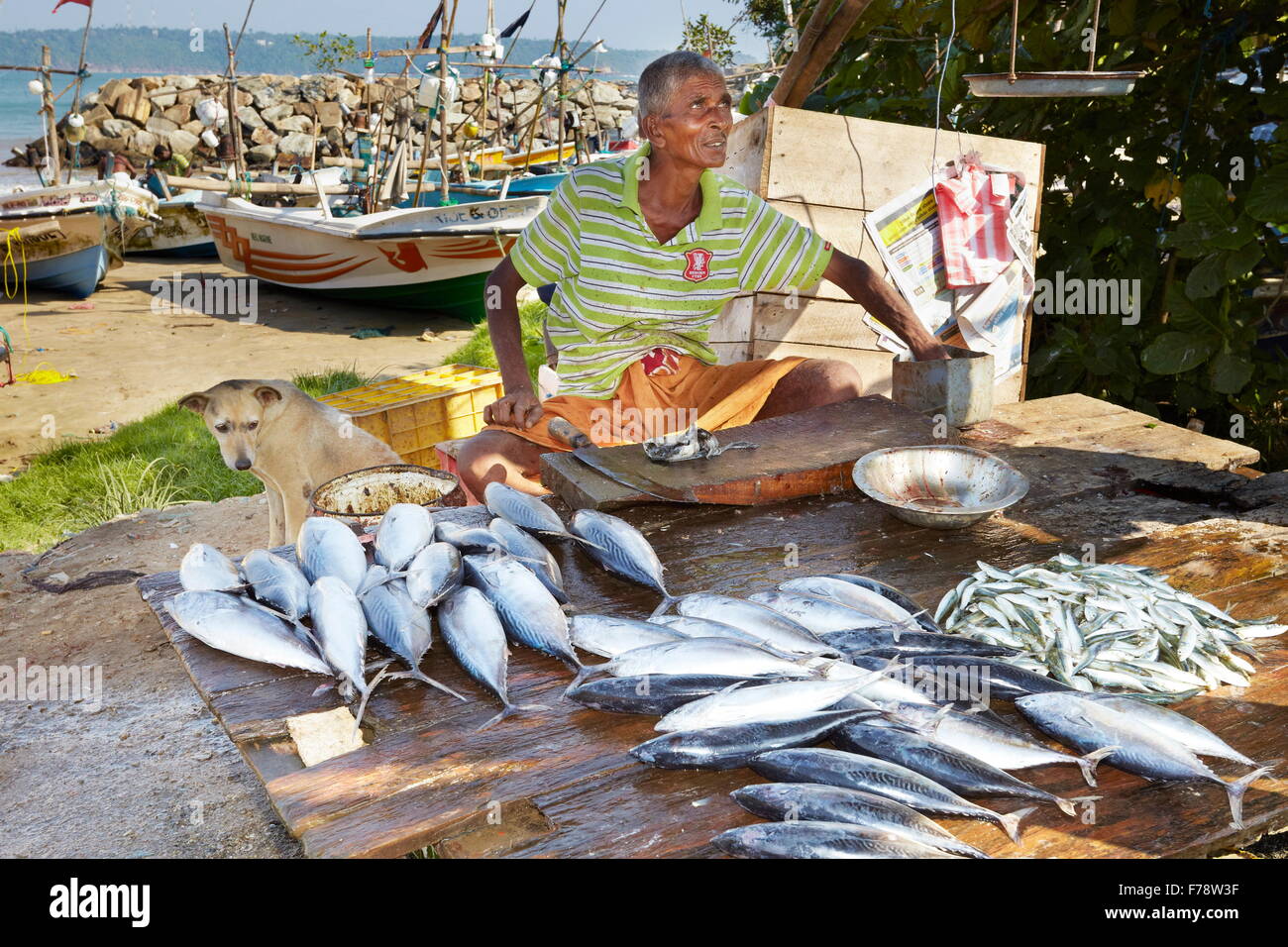 Sri Lanka - Galle, fishermen selling fresh fish in the port Stock Photo