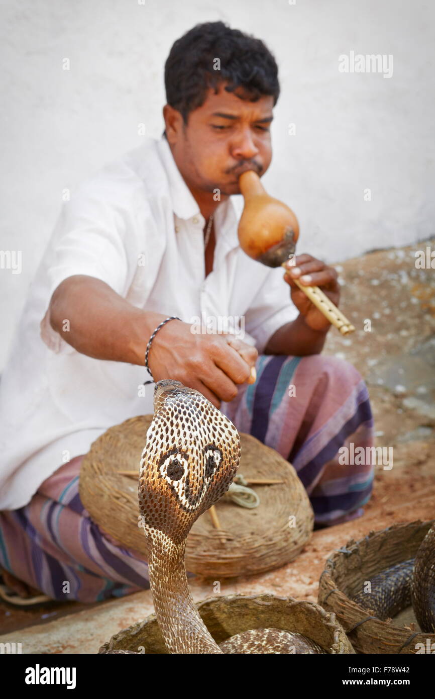 Sri Lanka - Galle, snake charmer Stock Photo