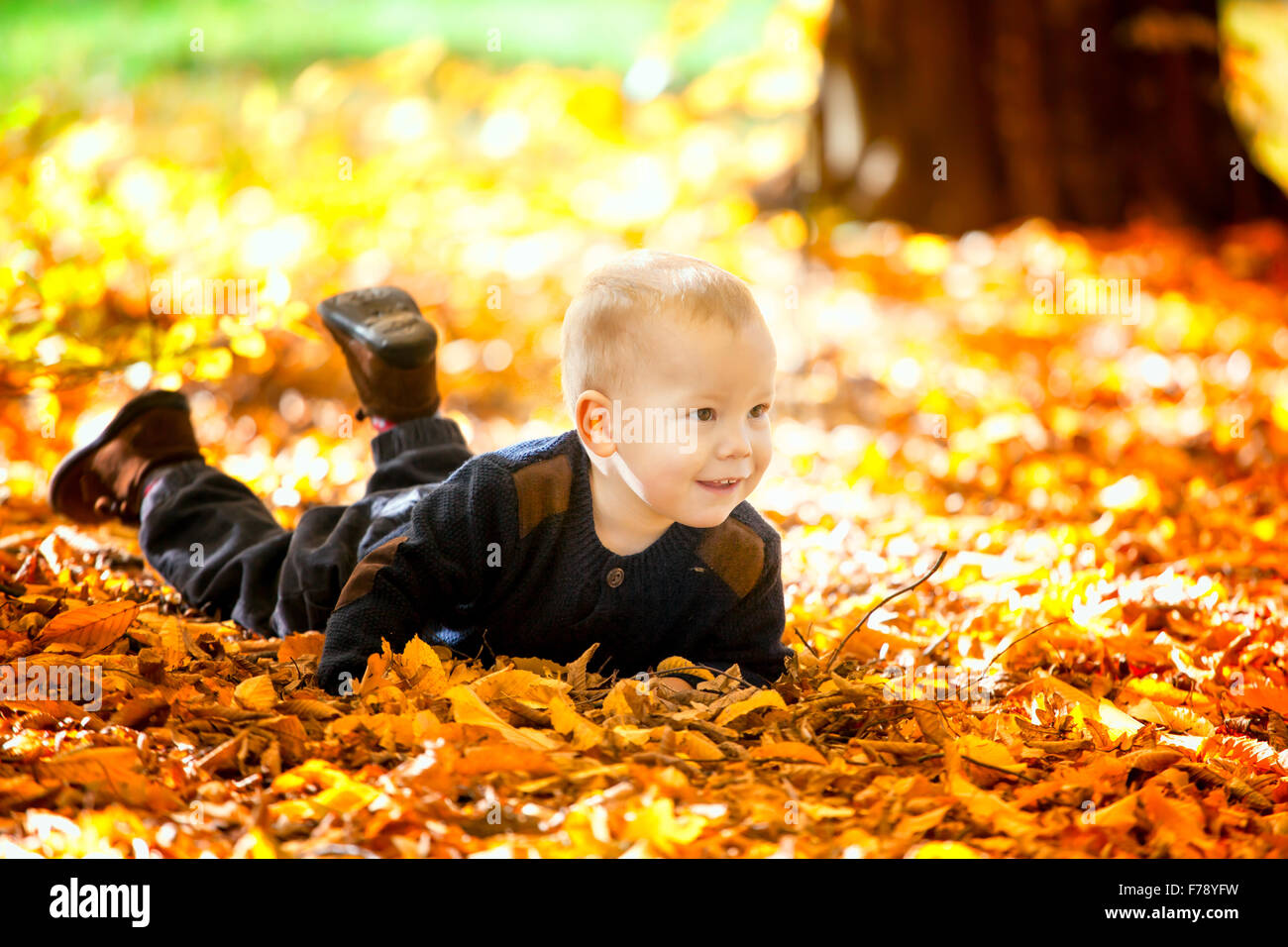 Portrait of 1 year old baby boy relaxing in the woods in the fall. Stock Photo