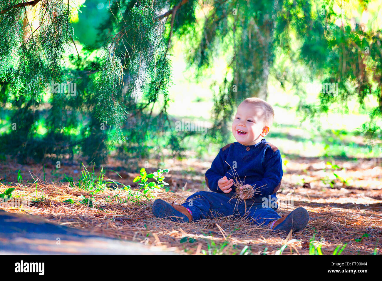 Portrait of 1 year old baby boy relaxing in the woods in the fall. Stock Photo