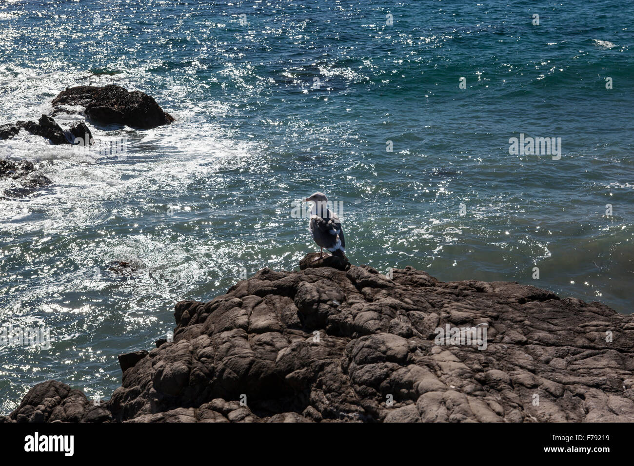 Rock formations at Leo Carrillo Beach State Park in Malibu California