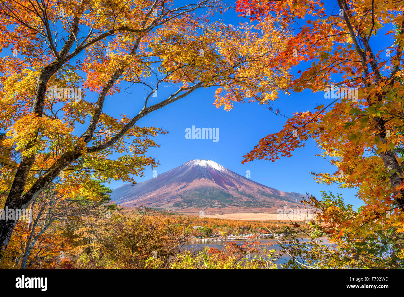 Mt. Fuji, Japan from Yamanaka Lake in autumn. Stock Photo