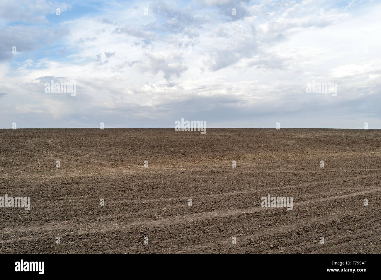 Arable land without borders to the horizon Stock Photo