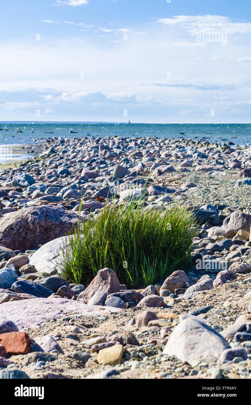 Stony shore of Baltic sea, Paljassaare peninsula, Estonia Stock Photo