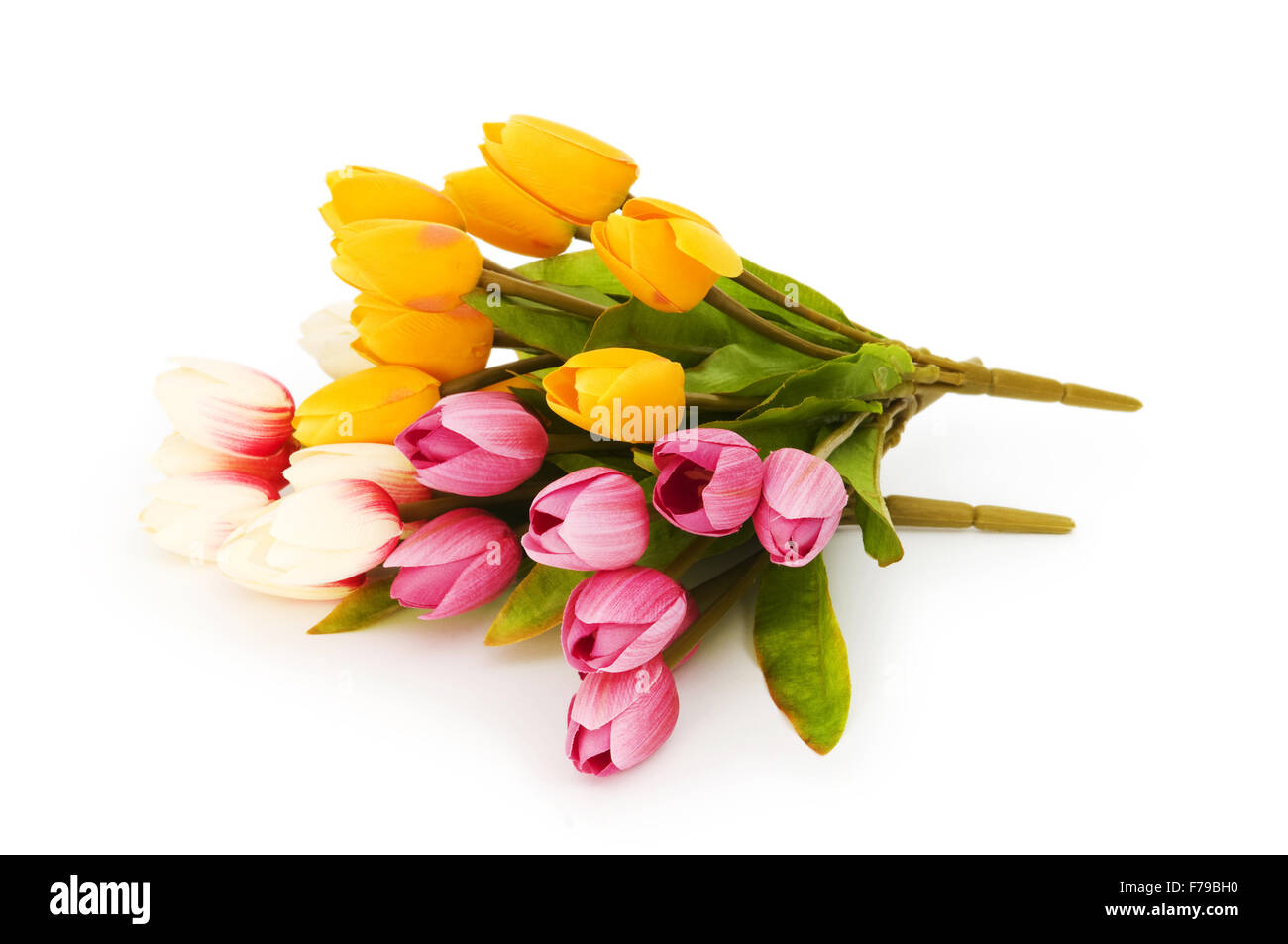 Colourful tulips isolated on the white background Stock Photo - Alamy