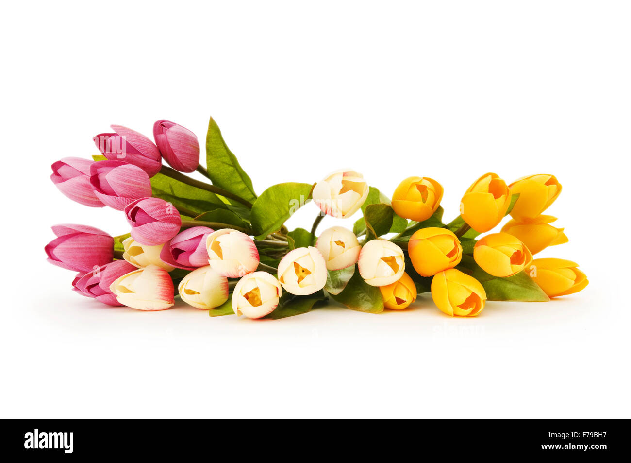 Colourful tulips isolated on the white background Stock Photo - Alamy