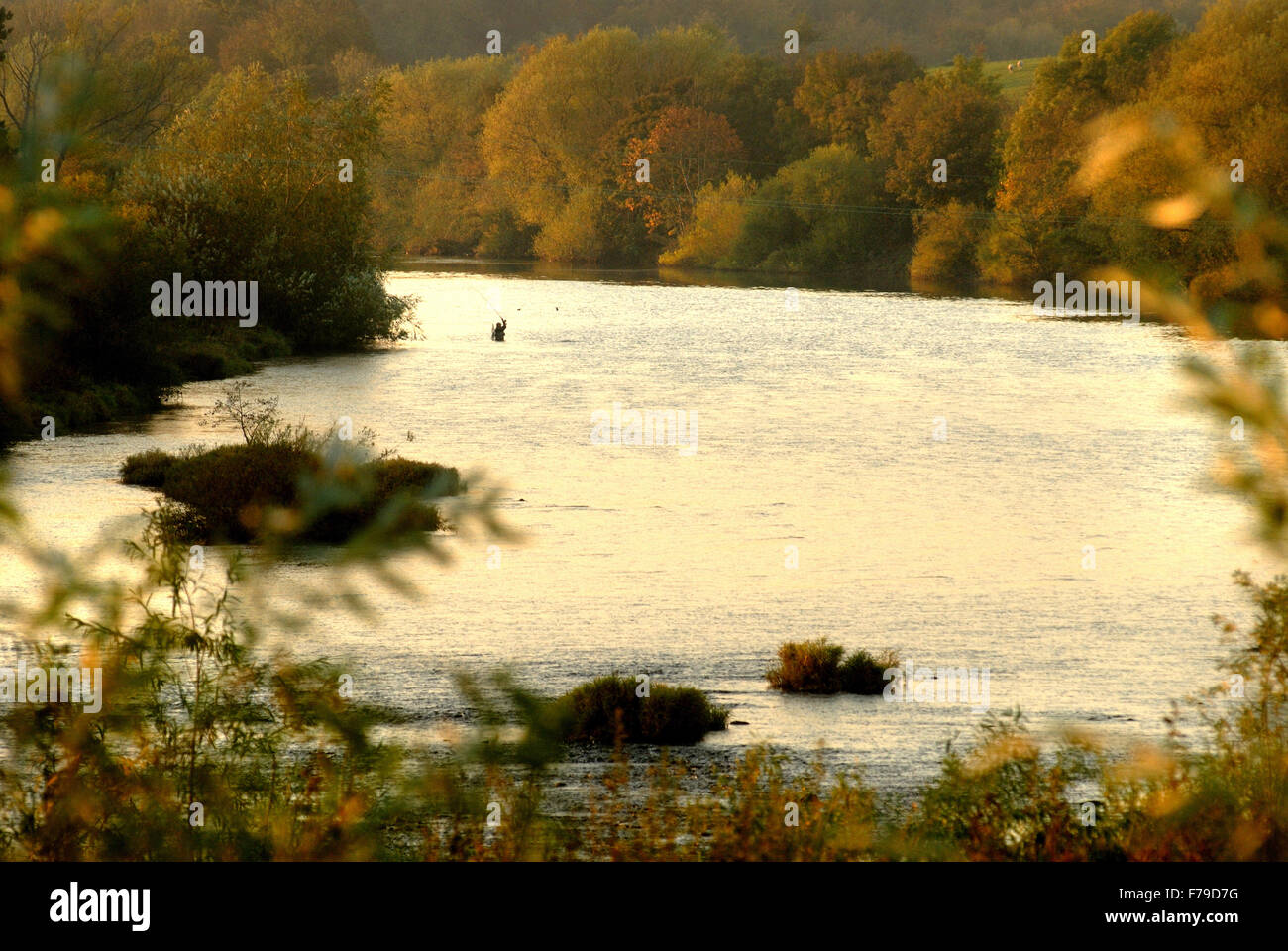 Fishing in the River Tyne at Corbridge Stock Photo - Alamy