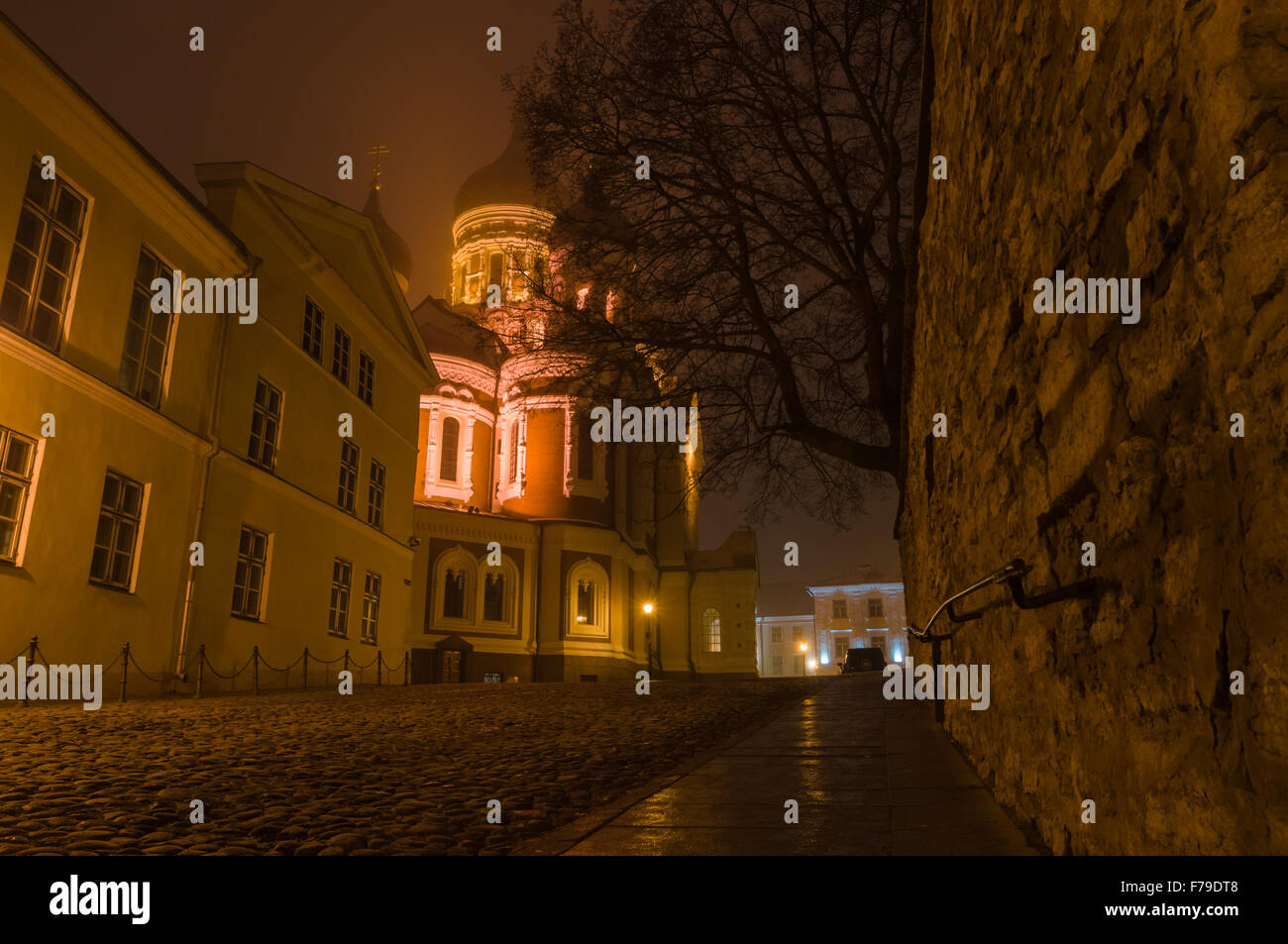Night view on illuminated Alexander Nevsky Cathedral, Tallinn, Estonia Stock Photo