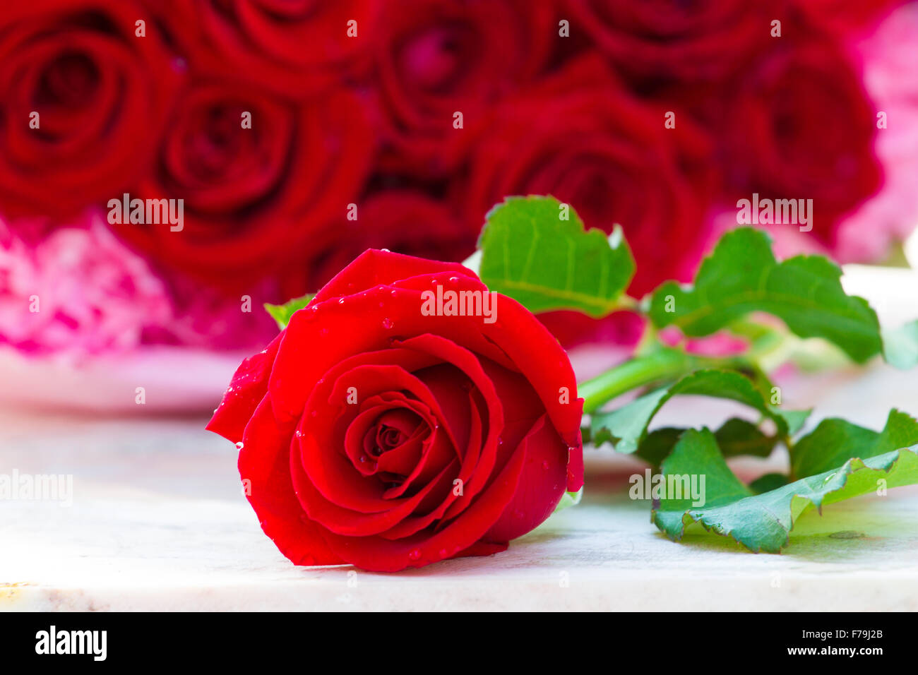 Rose fresh read color and beautiful on the marble table Stock Photo - Alamy