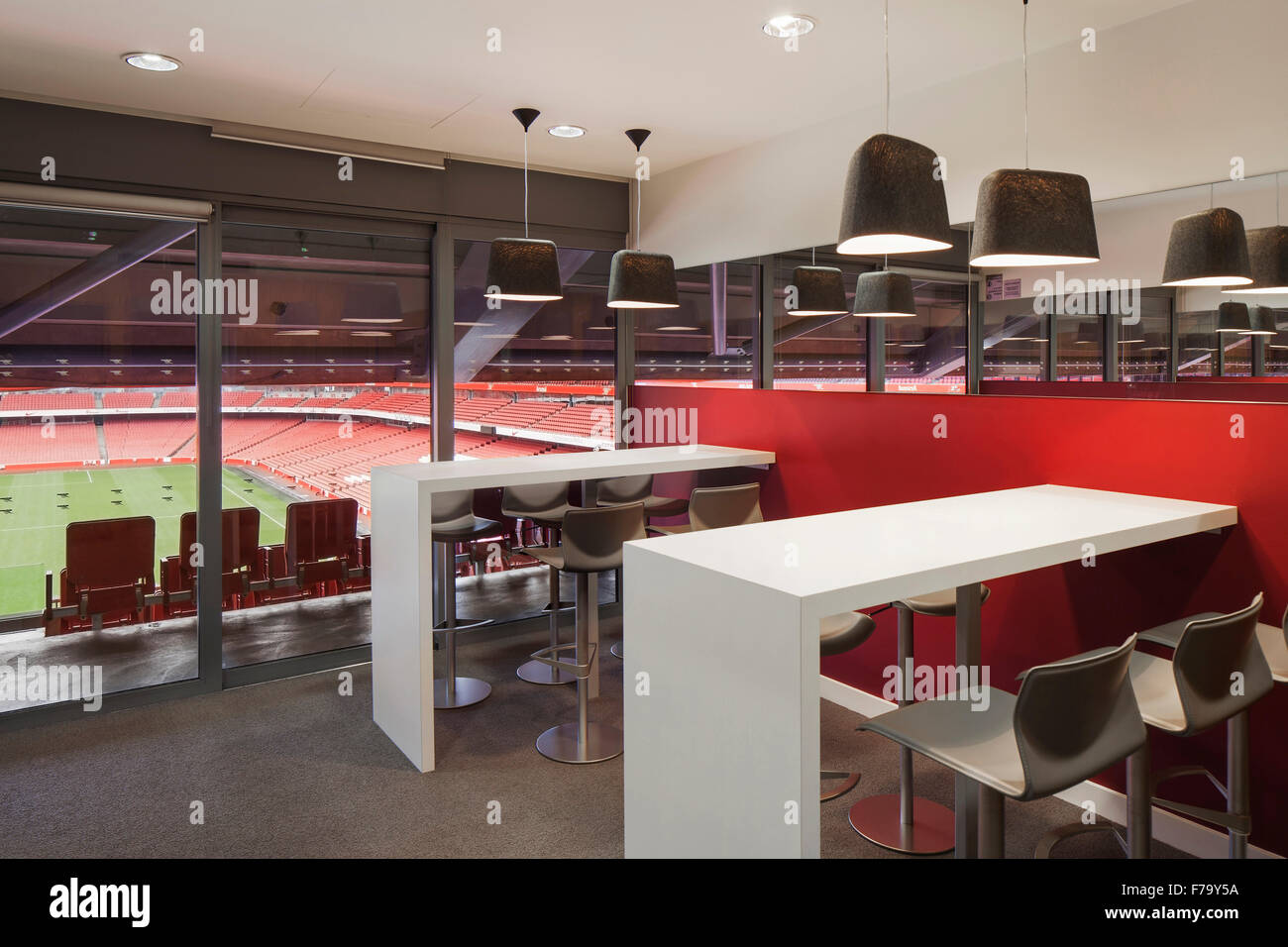 Private box and view of pitch at Emirates Stadium, Arsenal FC 2013, design by 2020 Stock Photo