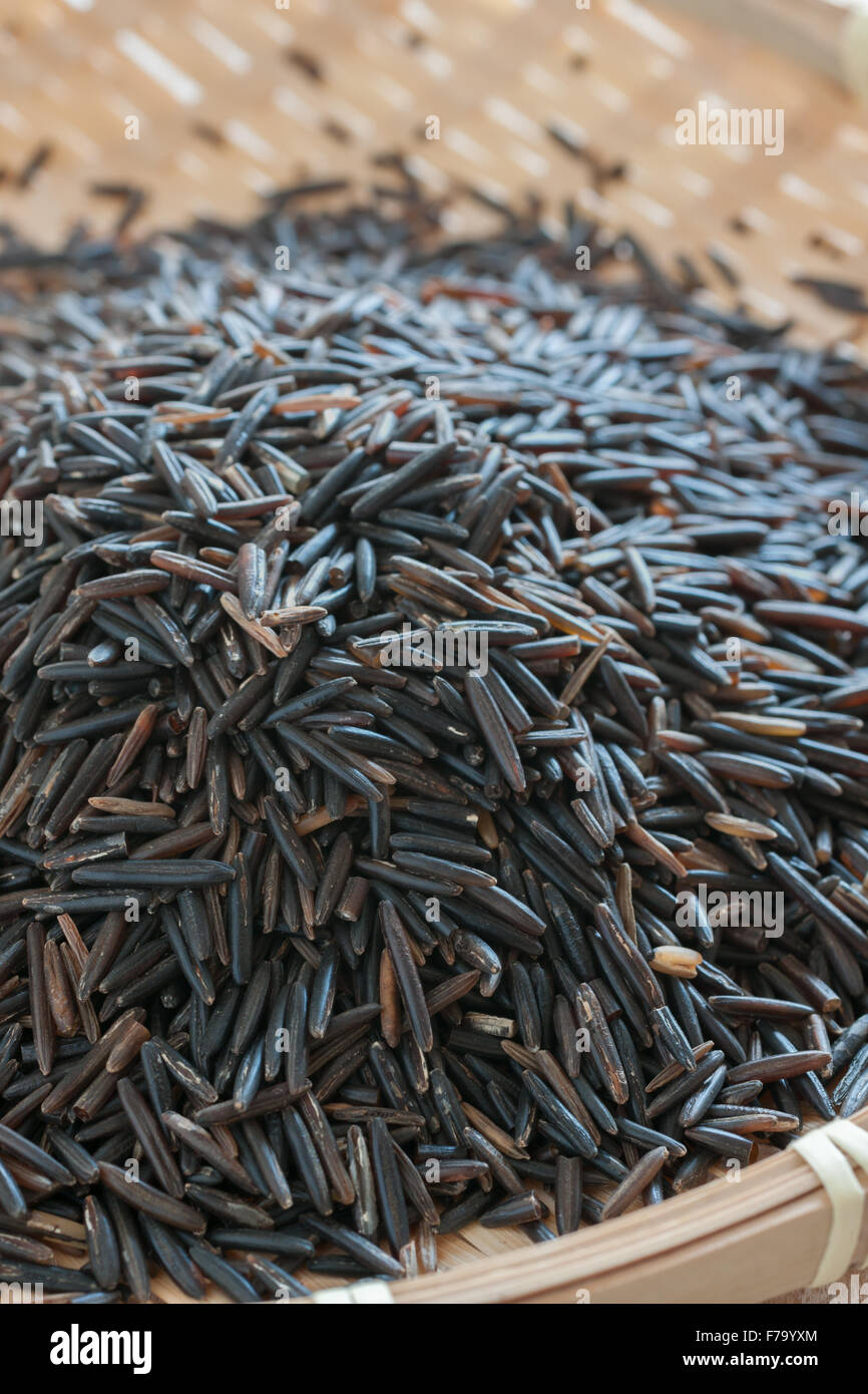 North American wild rice or Indian rice a wild growing variety from North America and Canada Stock Photo