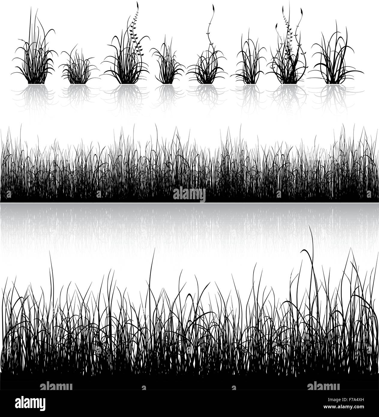 Grass silhouette isolated on white Stock Vector Image & Art - Alamy
