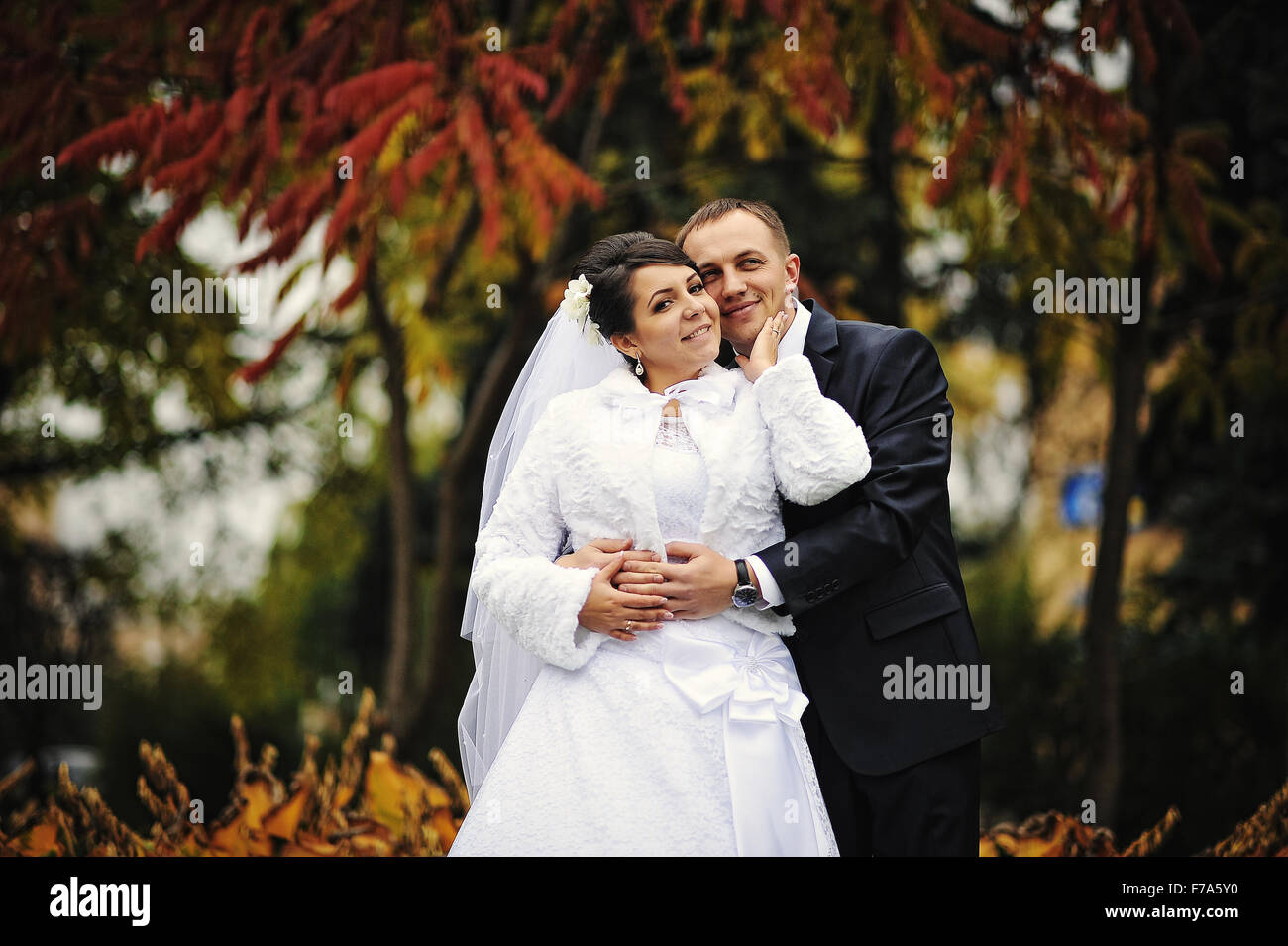 Wedding couple background on autumn day Stock Photo - Alamy