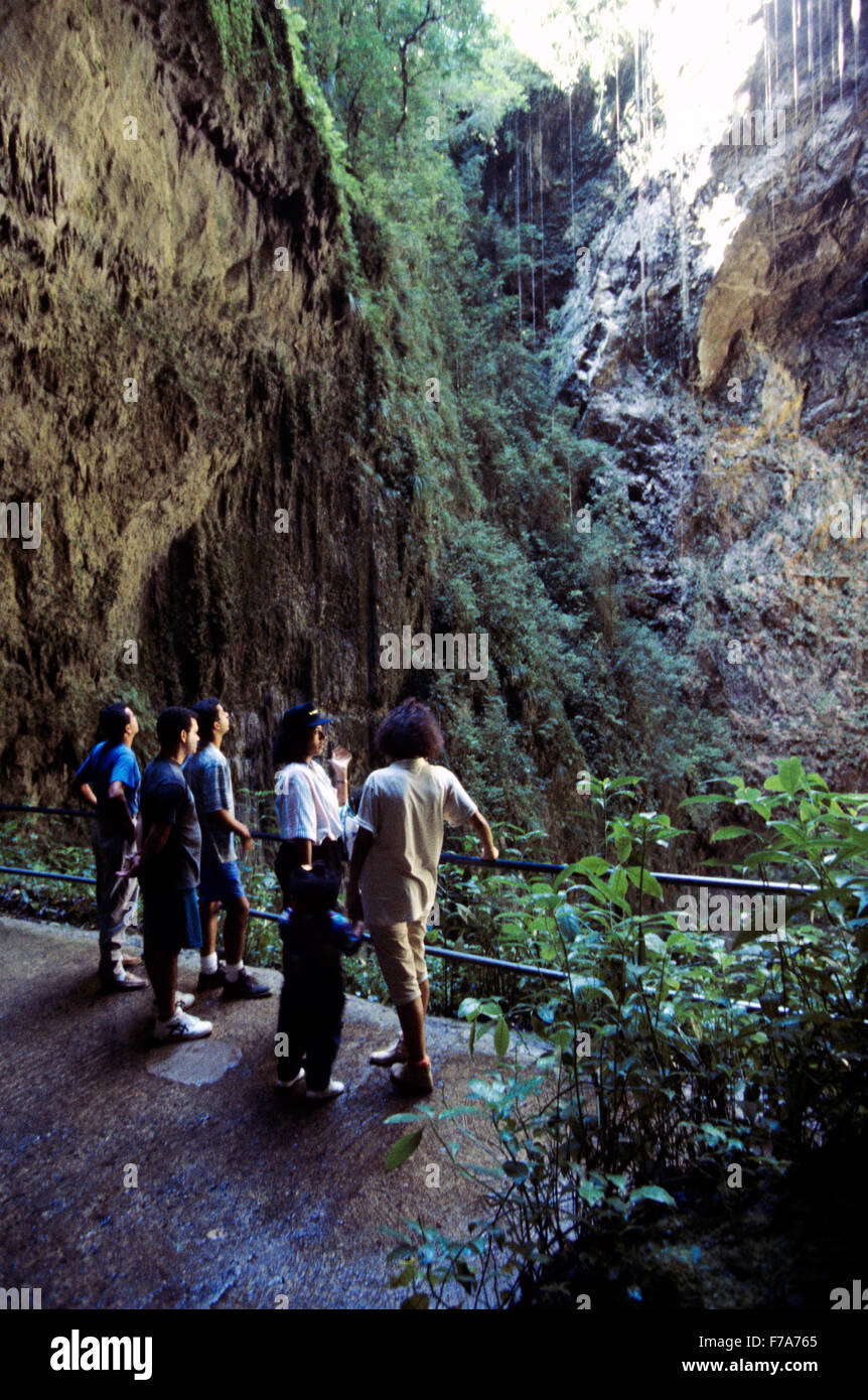 Rio Camuy Caves, Puerto Rico Stock Photo