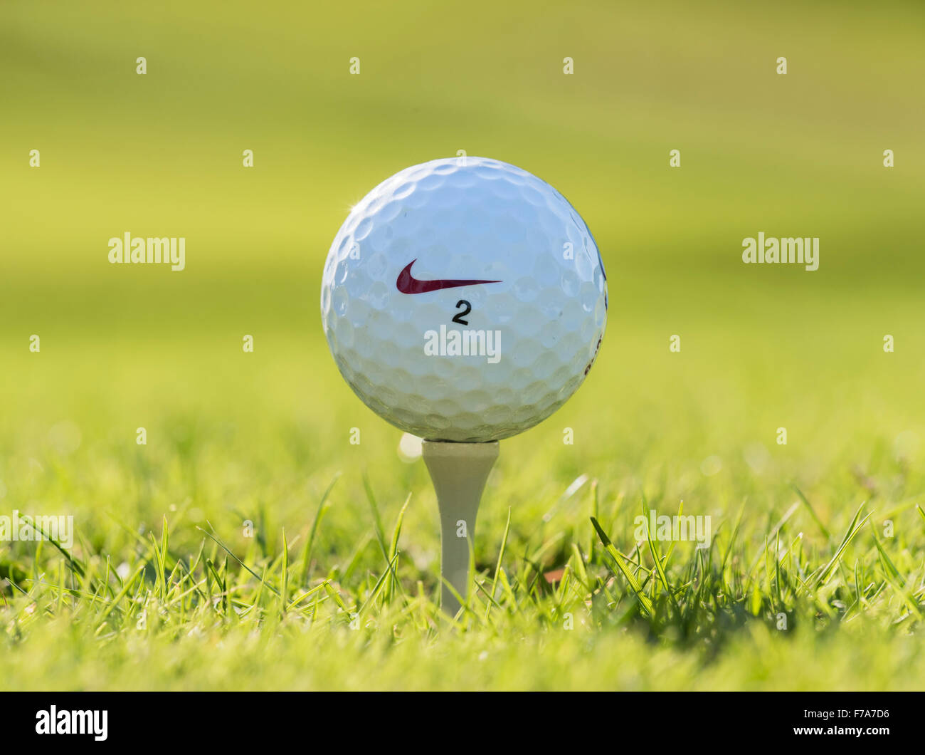 Golf ball on a tee. Stock Photo