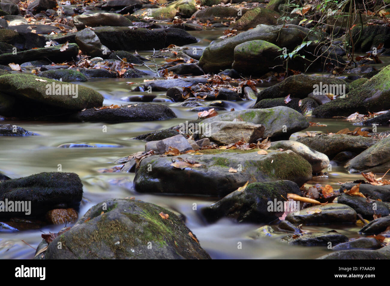 Mountain stream flowing over rocky ground making cascades Stock Photo