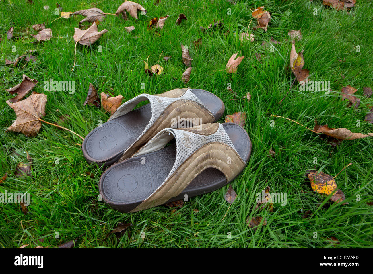 Well worn fitflops on a lawn Stock Photo Alamy
