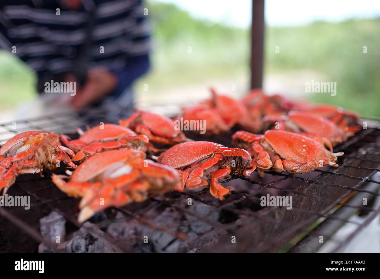 Grilled spanner crab (red frog crab) Stock Photo
