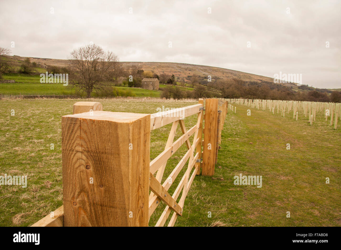 Tree planting with buildings hi-res stock photography and images - Alamy