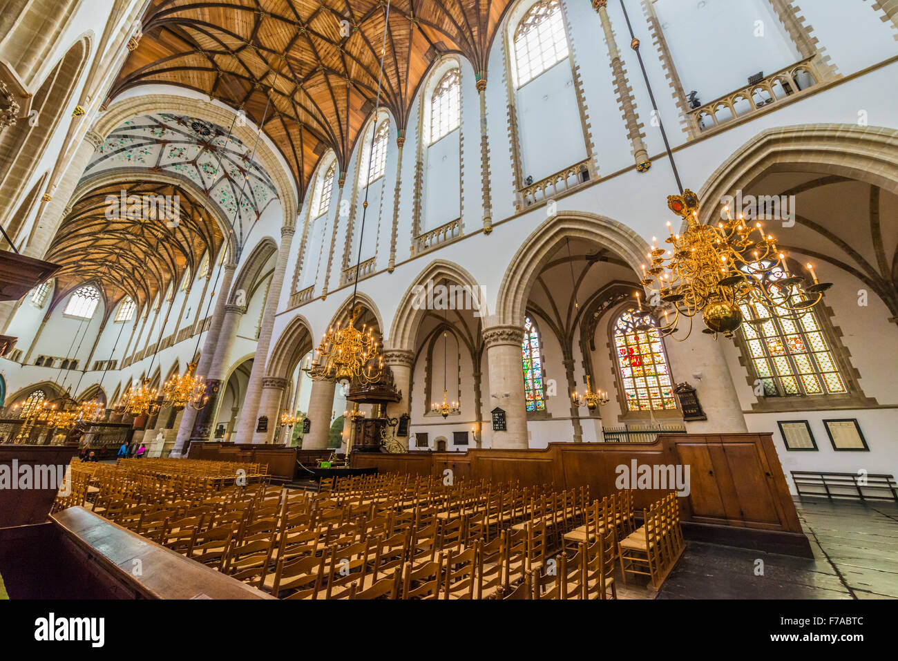 Sint Bavo Kerk Haarlem