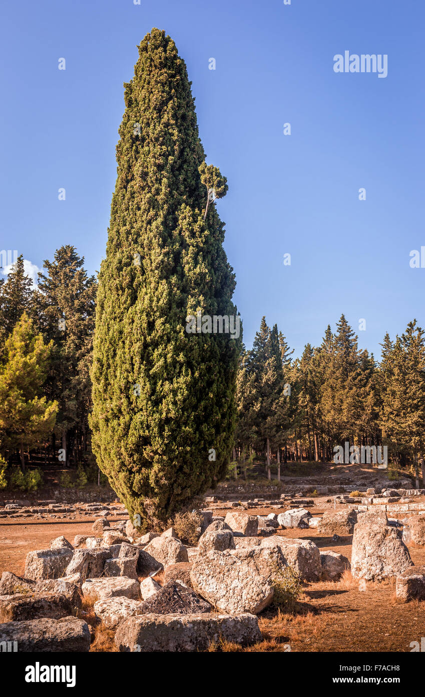 Ancient site of Asclepeion at greek Kos island Stock Photo