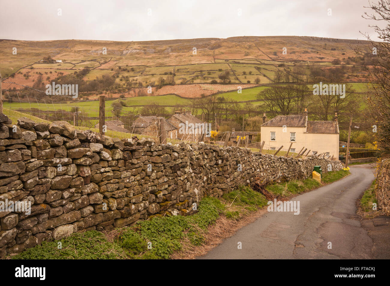 Picturesque view of a winding road leading out of Reeth village in Swaledale showing fells,stone walling and houses Stock Photo