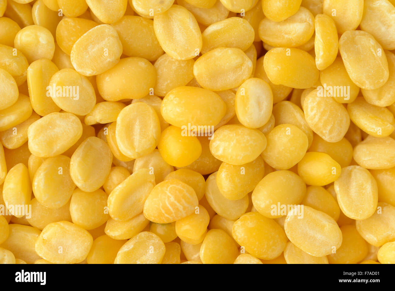 Yellow Lentil Stock Photo