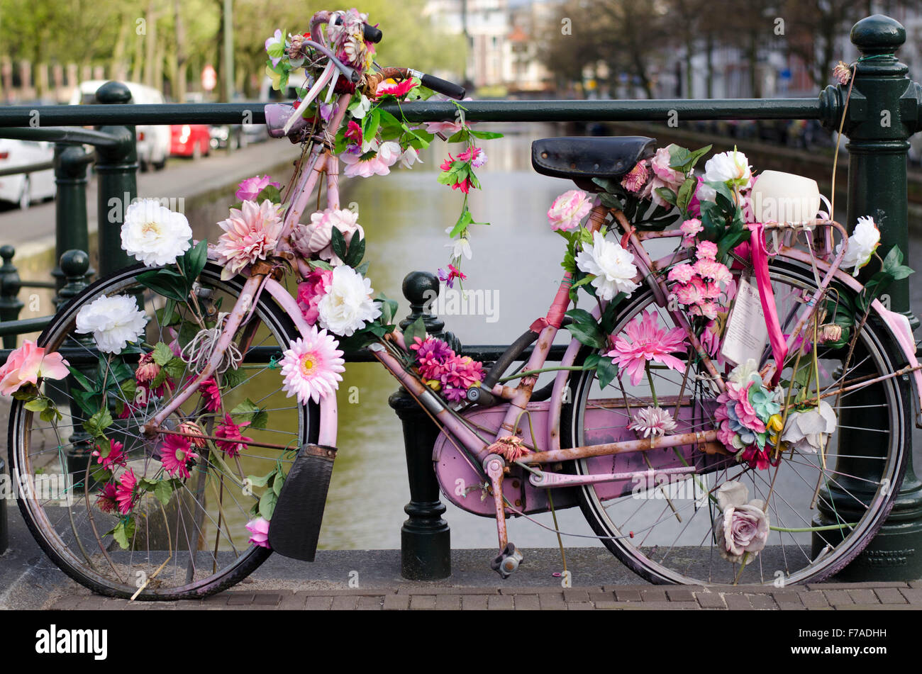 Classic vintage bike with flower parked in Amsterdam Stock Photo Alamy