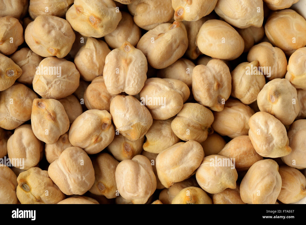 Close up of Chickpeas Stock Photo