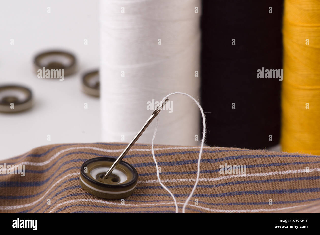 we sew buttons a sharp needle with a thread Stock Photo