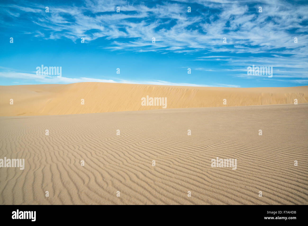 Nadgee Spectacular sand dunes along the Nadgee Wilderness walk, New South ...