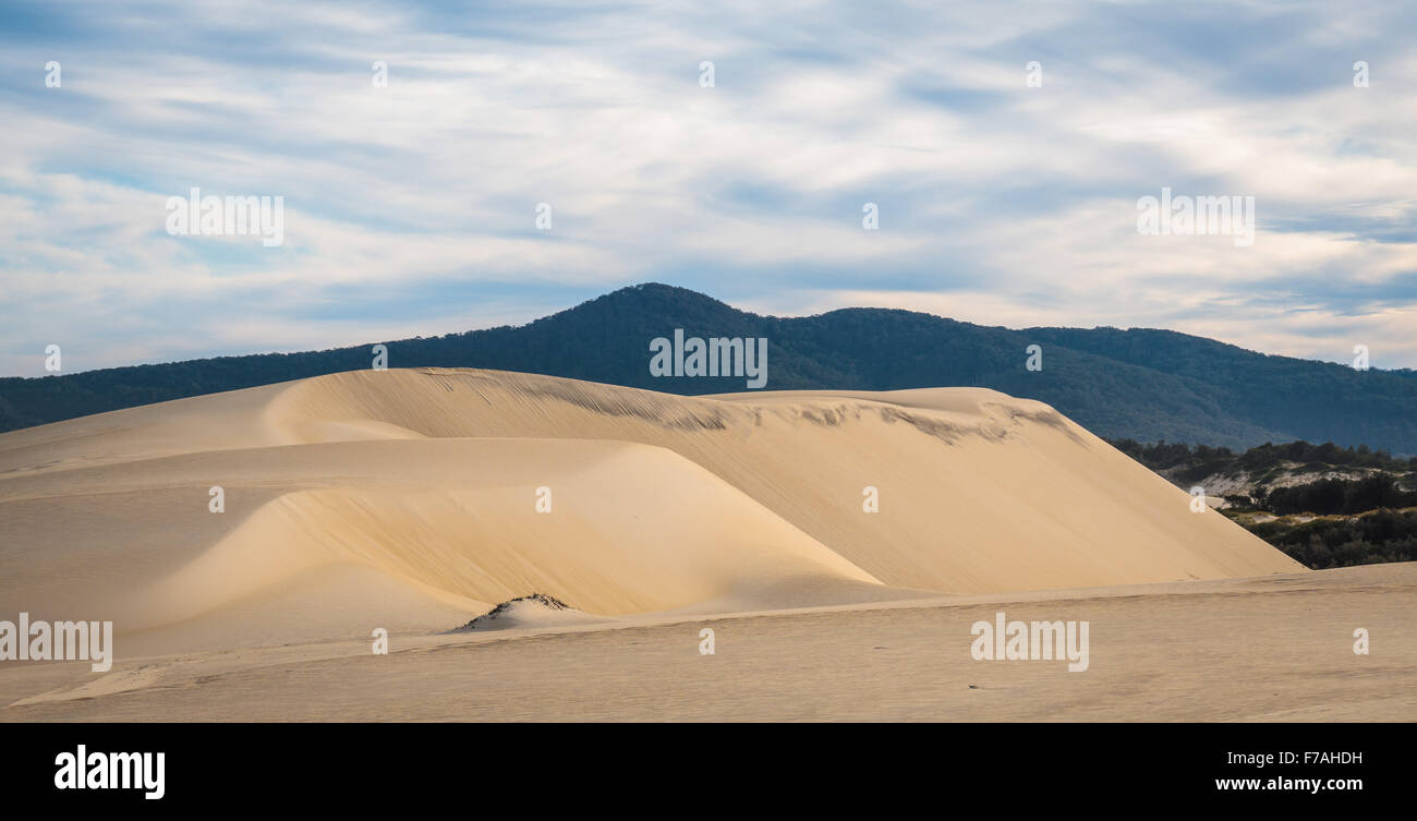 Nadgee Spectacular sand dunes along the Nadgee Wilderness walk, New South ...