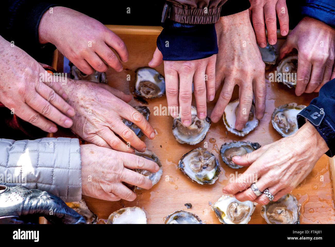 Oyster tasting, offering food for free, Prague Czech Republic Stock Photo