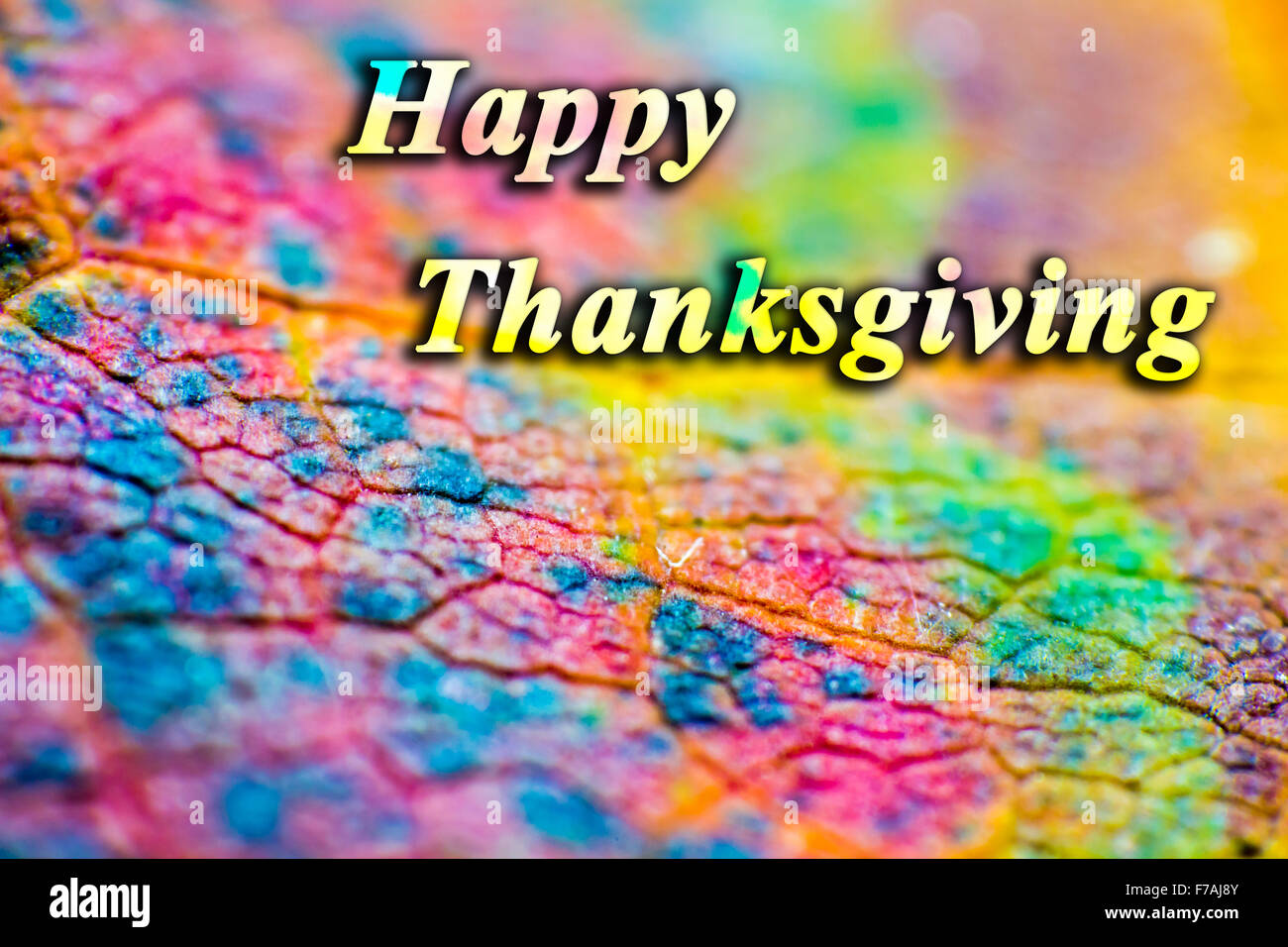 Happy Thanksgiving Greeting Stock Photo Alamy