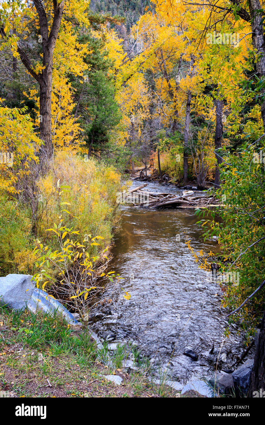 The Cimarron River flows through New Mexico's Cimarron Canyon State
