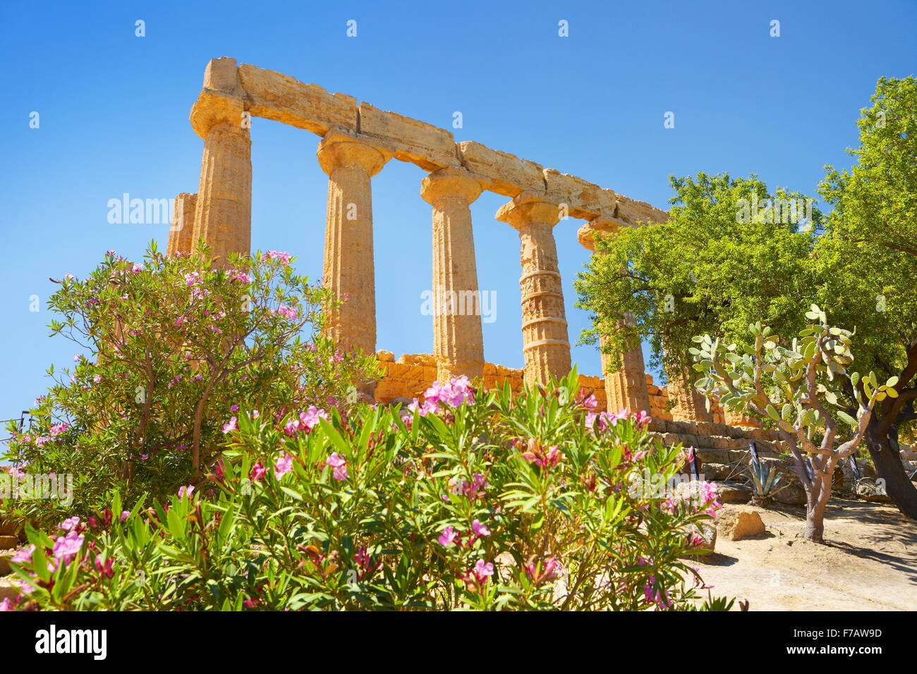 Temple of Hera in Valley of Temples (Valle dei Templi), Agrigento, Sicily, Italy UNESCO Stock Photo
