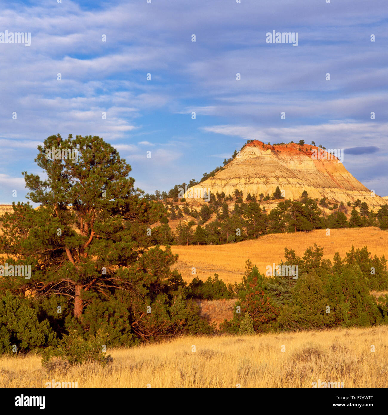 badlands in the powder river breaks near broadus, montana Stock Photo